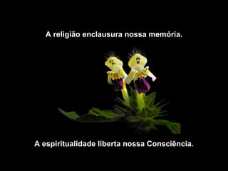 A religião enclausura nossa memória.




A espiritualidade liberta nossa Consciência.
 