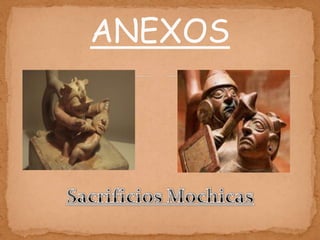 ANEXOS
 