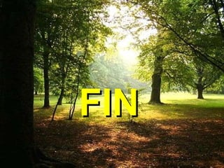 FIN 