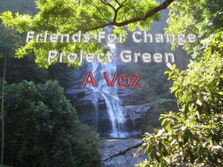 Friends For Change Project Green  A Voz 