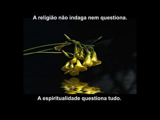 A religião não indaga nem questiona.




 A espiritualidade questiona tudo.
 