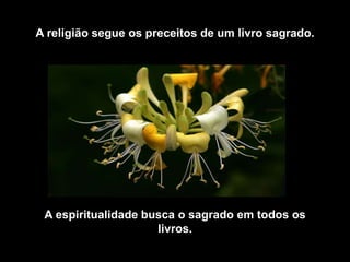 A religião segue os preceitos de um livro sagrado.




 A espiritualidade busca o sagrado em todos os
                     livros.
 