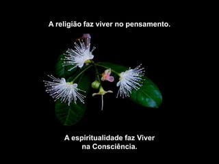 A religião faz viver no pensamento.




    A espiritualidade faz Viver
         na Consciência.
 