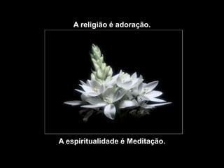 A religião é adoração.




A espiritualidade é Meditação.
 