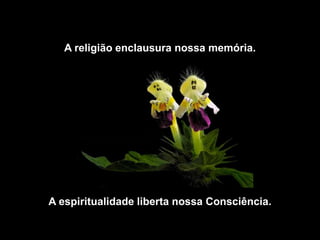 A religião enclausura nossa memória.




A espiritualidade liberta nossa Consciência.
 