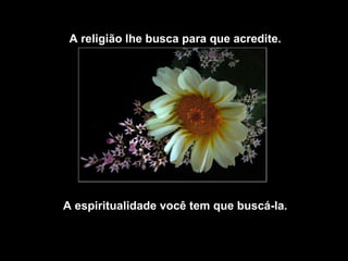 A religião lhe busca para que acredite.
A espiritualidade você tem que buscá-la.
 