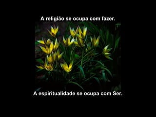 A religião se ocupa com fazer.
A espiritualidade se ocupa com Ser.
 