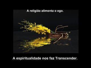 A religião alimenta o ego.
A espiritualidade nos faz Transcender.
 
