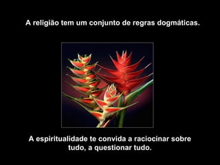 A religião tem um conjunto de regras dogmáticas.
A espiritualidade te convida a raciocinar sobre
tudo, a questionar tudo.
 