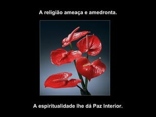 A religião ameaça e amedronta.
A espiritualidade lhe dá Paz Interior.
 