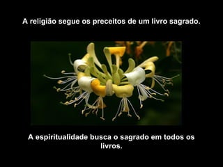 A religião segue os preceitos de um livro sagrado.




 A espiritualidade busca o sagrado em todos os
                     livros.
 