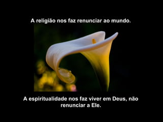 A religião nos faz renunciar ao mundo.




A espiritualidade nos faz viver em Deus, não
               renunciar a Ele.
 
