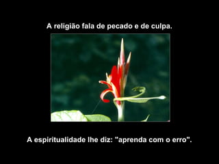 A religião fala de pecado e de culpa.




A espiritualidade lhe diz: "aprenda com o erro".
 