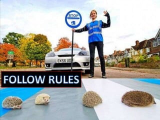 Social Control
Acceptable & Non
Acceptable rules
 