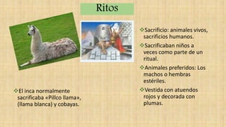Sacrificio: animales vivos,
sacrificios humanos.
Sacrificaban niños a
veces como parte de un
ritual.
Animales preferidos: Los
machos o hembras
estériles.
Vestida con atuendos
rojos y decorada con
plumas.
El inca normalmente
sacrificaba «Pillco llama»,
(llama blanca) y cobayas.
Ritos
 