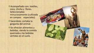Acompañado con: textiles,
coca, chicha y flores.
Seleccionadas
minuciosamente (cultivada
en campos especiales).
Sacerdote; cortaba la
garganta del animal.
Se ofrecían alimentos y
bebidas, siendo la comida
quemada y las bebidas
vertidas en el suelo.
 