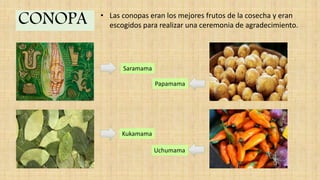 CONOPA
Saramama
Papamama
Kukamama
Uchumama
• Las conopas eran los mejores frutos de la cosecha y eran
escogidos para realizar una ceremonia de agradecimiento.
 