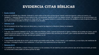 EVIDENCIA CITAS BÍBLICAS
• Éxodo 14:26-28
• Entonces el SEÑOR dijo a Moisés: Extiende tu mano sobre el mar para que las aguas vuelvan sobre los egipcios, sobre sus carros y su
caballería. Y extendió Moisés su mano sobre el mar, y al amanecer, regresó el mar a su estado normal, y los egipcios al huir se encontraban con
él; así derribó el SEÑOR a los egipcios en medio del mar. Y las aguas volvieron y cubrieron los carros y la caballería, a todo el ejército de Faraón
que había entrado tras ellos en el mar; no quedó ni uno de ellos.
• Hebreos 11:29
• Por la fe pasaron el mar Rojo como por tierra seca, y cuando los egipcios lo intentaron {hacer,} se ahogaron.
• Lucas 9:30-32
• Y he aquí, dos hombres hablaban con El, los cuales eran Moisés y Elías, quienes apareciendo en gloria, hablaban de la partida de Jesús, que El
estaba a punto de cumplir en Jerusalén. Pedro y sus compañeros habían sido vencidos por el sueño, pero cuando estuvieron bien despiertos,
vieron la gloria de Jesús y a los dos varones que estaban con El.
• Levítico 8:30
• Y tomó Moisés del aceite de la unción y de la sangre que estaba sobre el altar, y roció a Aarón y sus vestiduras, y a sus hijos y las vestiduras de
sus hijos; y consagró a Aarón y sus vestiduras, y a sus hijos y las vestiduras de sus hijos con él.
• Números 20:12
• Y el SEÑOR dijo a Moisés y a Aarón: Porque vosotros no me creísteis a fin de tratarme como santo ante los ojos de los hijos de Israel, por tanto
no conduciréis a este pueblo a la tierra que les he dado
 