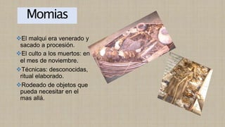 Momias
❖El malqui era venerado y
sacado a procesión.
❖El culto a los muertos: en
el mes de noviembre.
❖Técnicas: desconocidas,
ritual elaborado.
❖Rodeado de objetos que
pueda necesitar en el
mas allá.
 