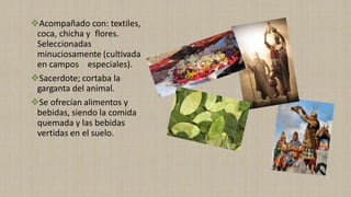 ❖Acompañado con: textiles,
coca, chicha y flores.
Seleccionadas
minuciosamente (cultivada
en campos especiales).
❖Sacerdote; cortaba la
garganta del animal.
❖Se ofrecían alimentos y
bebidas, siendo la comida
quemada y las bebidas
vertidas en el suelo.
 