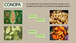 CONOPA
Saramama
Papamama
Kukamama
Uchumama
• Las conopas eran los mejores frutos de la cosecha y eran
escogidos para realizar una ceremonia de agradecimiento.
 