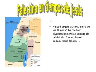 ●



●
    Palestina,que significa”tierra de
    los filisteos”, ha recibido
    diversos nombres a lo largo de
    la historia: Canaá, Israel,
    Judea, Tierra Santa.....
 