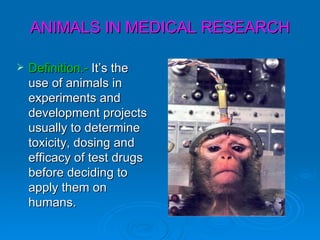 ANIMALS IN MEDICAL RESEARCH

   Definition.- It’s the
    use of animals in
    experiments and
    development projects
    usually to determine
    toxicity, dosing and
    efficacy of test drugs
    before deciding to
    apply them on
    humans.
 
