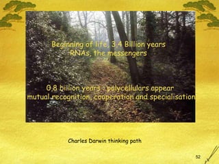 Charles Darwin thinking path Beginning of life, 3,4 Billion years RNAs, the messengers 0,8 billion years : polycellulars appear mutual recognition, cooperation and specialisation 