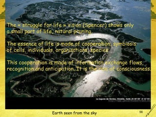 Earth seen from the sky The « struggle for life » vision (Spencer) shows only a small part of life, natural pruning. The essence of life is made of cooperation, symbiosis  of cells, individuals, organisations, species This cooperation is made of information exchange flows, recognition and anticipation. It is the rise of consciousness. 