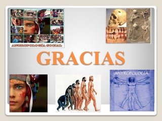 GRACIAS
 
