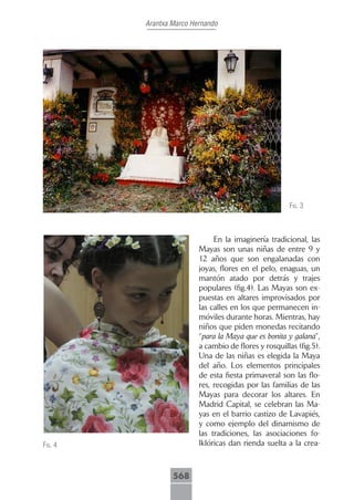 Arantxa Marco Hernando




                                                      fig. 3



                              En la imaginería tradicional, las
                         Mayas son unas niñas de entre 9 y
                         12 años que son engalanadas con
                         joyas, flores en el pelo, enaguas, un
                         mantón atado por detrás y trajes
                         populares (fig.4). Las Mayas son ex-
                         puestas en altares improvisados por
                         las calles en los que permanecen in-
                         móviles durante horas. Mientras, hay
                         niños que piden monedas recitando
                         “para la Maya que es bonita y galana”,
                         a cambio de flores y rosquillas (fig.5).
                         Una de las niñas es elegida la Maya
                         del año. Los elementos principales
                         de esta fiesta primaveral son las flo-
                         res, recogidas por las familias de las
                         Mayas para decorar los altares. En
                         Madrid Capital, se celebran las Ma-
                         yas en el barrio castizo de Lavapiés,
                         y como ejemplo del dinamismo de
                         las tradiciones, las asociaciones fo-
fig. 4                   lklóricas dan rienda suelta a la crea-



                 568
 