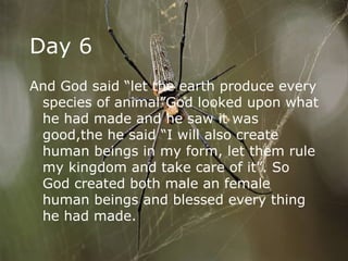 Day 6 And God said “let the earth produce every species of animal”God looked upon what he had made and he saw it was good,the he said “I will also create human beings in my form, let them rule my kingdom and take care of it”. So God created both male an female human beings and blessed every thing he had made.  