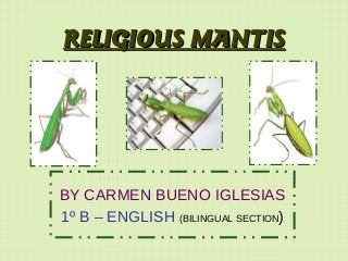 RELIGIOUS MANTIS

BY CARMEN BUENO IGLESIAS
1º B – ENGLISH (BILINGUAL SECTION)

 