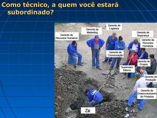Como técnico, a quem você estará
 subordinado?
 