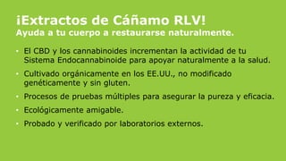 ¡Extractos de Cáñamo RLV!
Ayuda a tu cuerpo a restaurarse naturalmente.
• El CBD y los cannabinoides incrementan la actividad de tu
Sistema Endocannabinoide para apoyar naturalmente a la salud.
• Cultivado orgánicamente en los EE.UU., no modificado
genéticamente y sin gluten.
• Procesos de pruebas múltiples para asegurar la pureza y eficacia.
• Ecológicamente amigable.
• Probado y verificado por laboratorios externos.
 