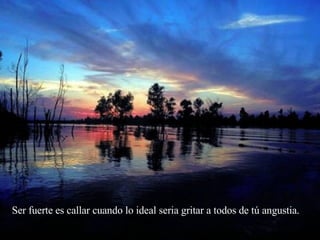 Ser fuerte es callar cuando lo ideal seria gritar a todos de tú angustia.