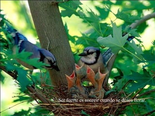 Ser fuerte es sonreír cuando se desea llorar.