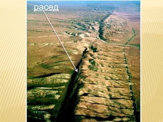 расед
 