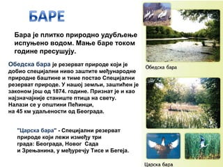 Бара је плитко природно удубљење
испуњено водом. Мање баре током
године пресушују.
Обедска бара је резерват природе који је
добио специјални ниво заштите међународне
природне баштине и тиме постао Специјални
резерват природе. У нашој земљи, заштићен је
законом још од 1874. године. Признат је и као
најзначајније станиште птица на свету.
Налази се у општини Пећинци,
на 45 км удаљености од Београда.
"Царска бара" - Специјални резерват
природе који лежи између три
града: Београда, Новог Сада
и Зрењанина, у међуречју Тисе и Бегеја.
 