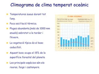 Climograma de clima temperat oceànic Temperatures suaus durant tot l’any. Poca oscil·lació tèrmica. Pluges abundants,(més de 1000 mm anuals) sobretot a la tardor i l’hivern. La vegetació típica és el bosc caducifoli. Aquest bosc ocupa el 15% de la superfície forestal del planeta Les principals espècies són els roures, faigs i castanyers. 