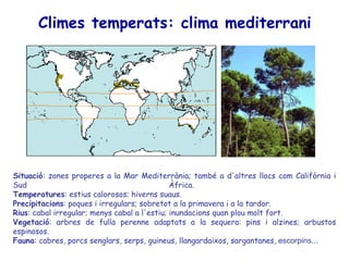 Climes temperats: clima mediterrani Situació : zones properes a la Mar Mediterrània; també a d'altres llocs com Califòrnia i Sud Àfrica.  Temperatures : estius calorosos; hiverns suaus. Precipitacions : poques i irregulars; sobretot a la primavera i a la tardor. Rius : cabal irregular; menys cabal a l'estiu; inundacions quan plou molt fort. Vegetació : arbres de fulla perenne adaptats a la sequera: pins i alzines; arbustos espinosos. Fauna : cabres, porcs senglars, serps, guineus, llangardaixos, sargantanes,  escorpins... 