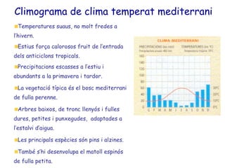 Climograma de clima temperat mediterrani Temperatures suaus, no molt fredes a l’hivern. Estius força calorosos fruit de l’entrada dels anticiclons tropicals. Precipitacions escasses a l’estiu i abundants a la primavera i tardor. La vegetació típica és el bosc mediterrani de fulla perenne. Arbres baixos, de tronc llenyós i fulles dures, petites i punxegudes,  adaptades a l’estalvi d’aigua. Les principals espècies són pins i alzines. També s’hi desenvolupa el matoll espinós de fulla petita. 