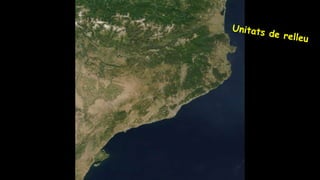 Relleu de catalunya (resum general)