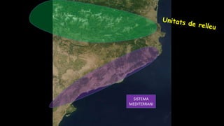 SISTEMA
MEDITERRANI
 