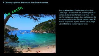 -Les costes altes. Predominen al nord de
Catalunya i al Garraf on les muntanyes de la
serralada litoral s'enfonsen en el mar i s'hi
han format penya-segats. Les platges són de
sorra gruixuda i solen formar petites cales. El
mar es fa profund a pocs metres de la platja.
La costa Brava seria d'aquest tipus
A Catalunya podem diferenciar dos tipus de costes.
 