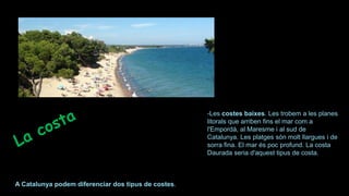 -Les costes baixes. Les trobem a les planes
litorals que arriben fins el mar com a
l'Empordà, al Maresme i al sud de
Catalunya. Les platges són molt llargues i de
sorra fina. El mar és poc profund. La costa
Daurada seria d'aquest tipus de costa.
A Catalunya podem diferenciar dos tipus de costes.
 