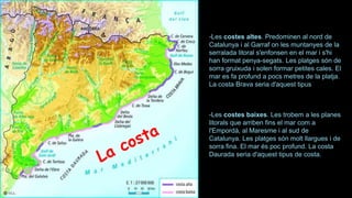 -Les costes altes. Predominen al nord de
Catalunya i al Garraf on les muntanyes de la
serralada litoral s'enfonsen en el mar i s'hi
han format penya-segats. Les platges són de
sorra gruixuda i solen formar petites cales. El
mar es fa profund a pocs metres de la platja.
La costa Brava seria d'aquest tipus
-Les costes baixes. Les trobem a les planes
litorals que arriben fins el mar com a
l'Empordà, al Maresme i al sud de
Catalunya. Les platges són molt llargues i de
sorra fina. El mar és poc profund. La costa
Daurada seria d'aquest tipus de costa.
 