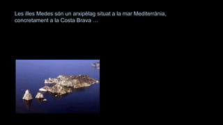 Les illes Medes són un arxipèlag situat a la mar Mediterrània,
concretament a la Costa Brava …
 
