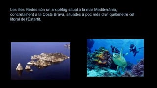 Les illes Medes són un arxipèlag situat a la mar Mediterrània,
concretament a la Costa Brava, situades a poc més d'un quilòmetre del
litoral de l'Estartit.
 