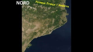 NORD
 